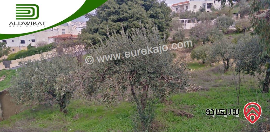 فيلا مستقلة مساحة البناء 950م ومساحة الارض 2338م ومساحة الحديقة 1500م للبيع في ماحص