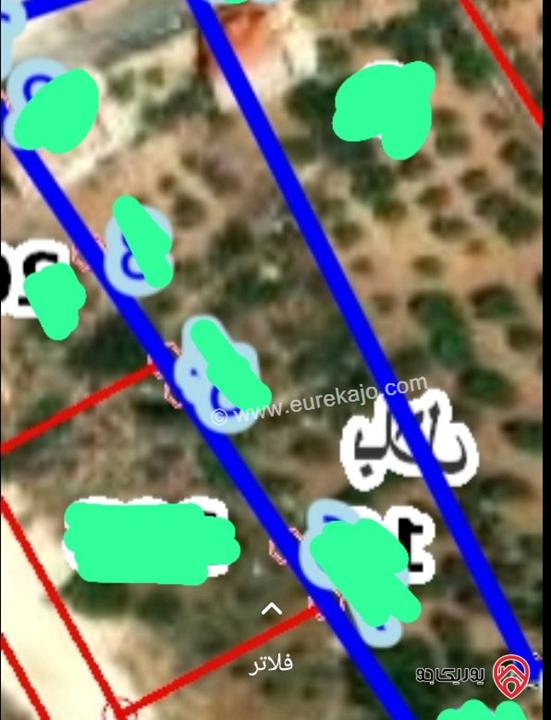 قطعتين أرض مشاع مساحة 950م و 800م للبيع في عمان - بدر الجديدة