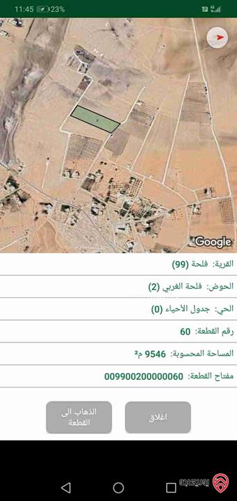 قطعة ارض زراعية مساحة 9 دونم و 546م للبيع في مادبا - منطقة فلحة في ذيبان