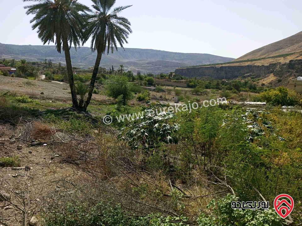 قطعة أرض مساحة 405م للبيع في اربد من اراضي بني كنانة الحمه الاردنية منطقة المسابح والاستراحات