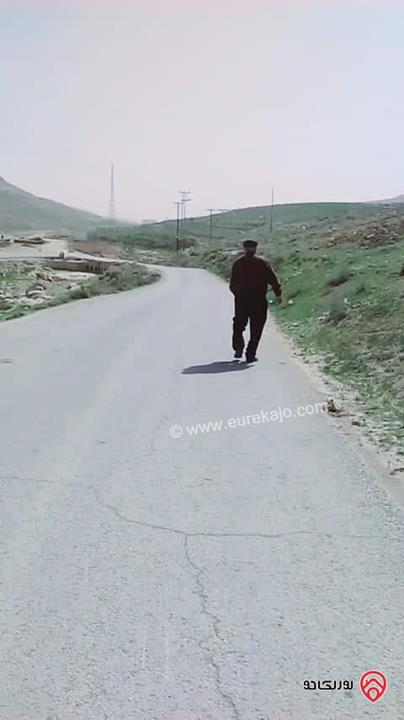قطعة ارض مساحة 6 دونم و 744 متر تحت التنظيم تقع على ثلاث شوارع التنموي  شارع أربعين متر وشارع الخدمة الزراعي  بعرض 6 متر للبيع في عمان - وادي العش