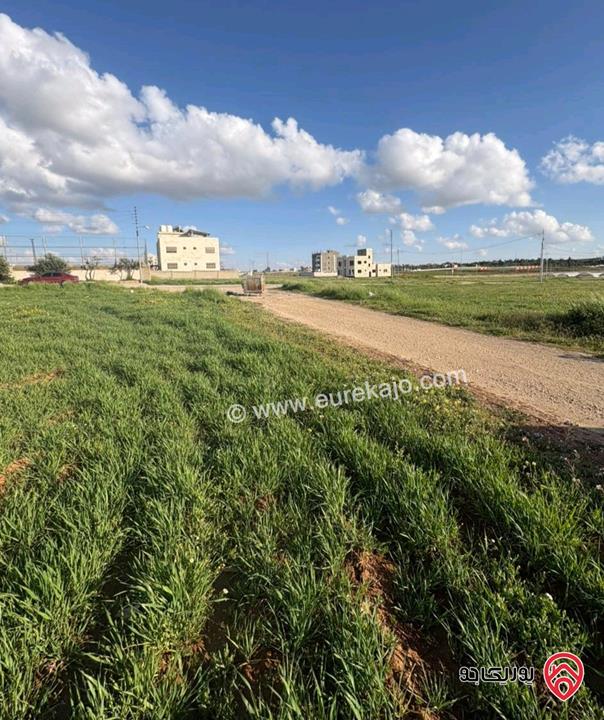 أرض مميزة مساحة 514م للبيع في عمان - الطنيب