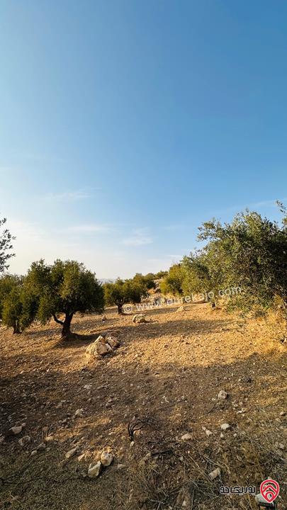 قطعة ارض مساحة 5 دونم و 856م للبيع في منطقة ماحص البلقاء منطقة قصور وفلل بجانب قصر الامير حسين ميرزا اطلالة غربية من المالك مباشرة 