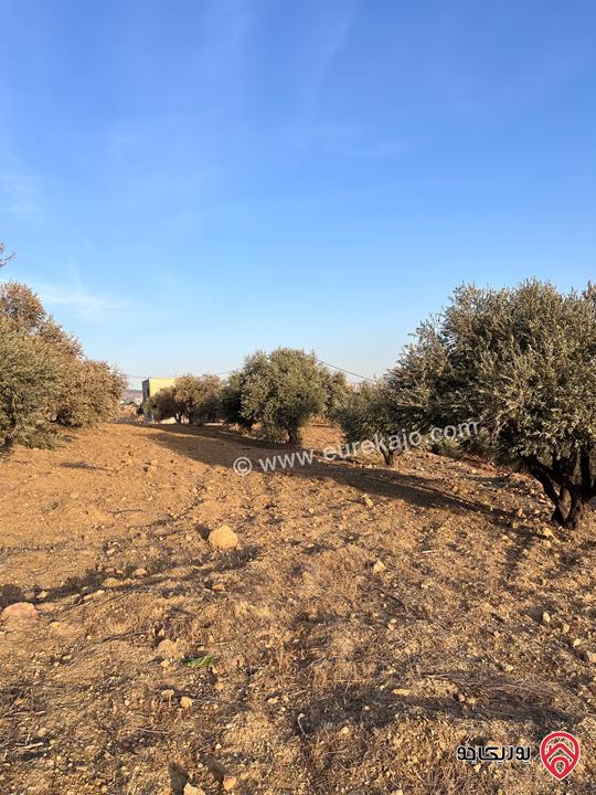مزرعة مساحة الأرض 6 دونم و 500م للبيع في جرش منطقة جمله قريبة من محمية دبين اطلاله جميلة جداً وسعر حرق وربنا يبارك لصاحب النصيب