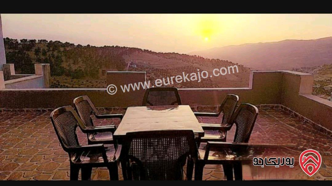 مزرعة مساحة الأرض 4 دونمات مع شاليه 250م للبيع في جرش خلف جامعة فيلادلفيا