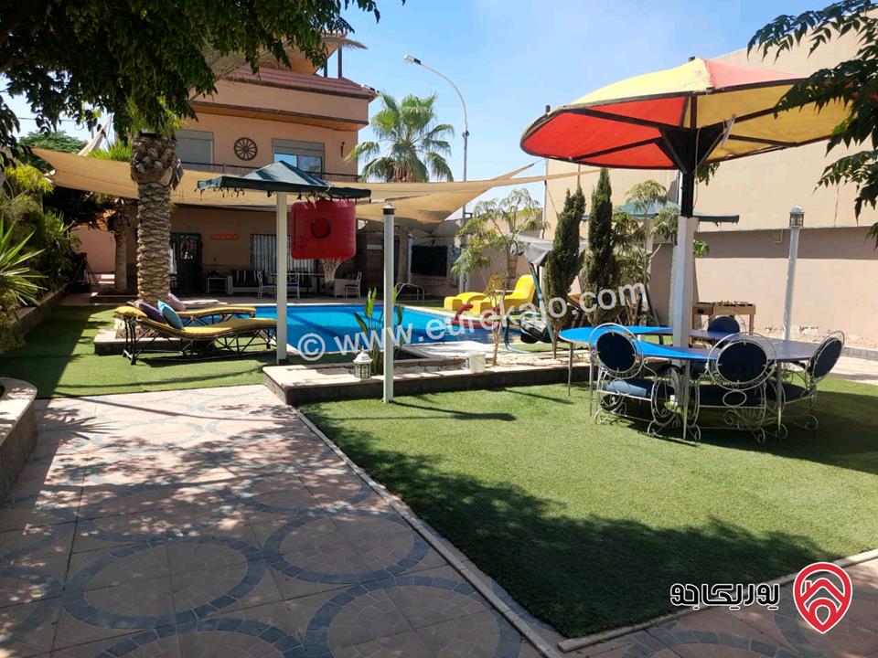 مزرعة و شاليه للإيجار اليومي في البحر الميت - الرامة