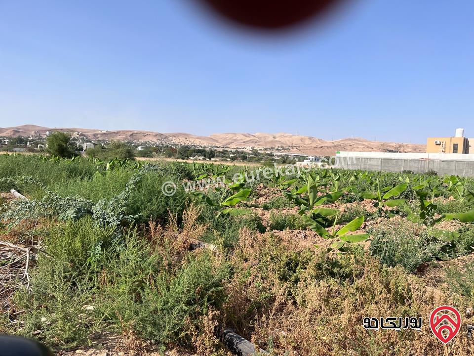 قطعة ارض مفروزة مساحة 1307م للبيع من أراضي الشونة الجنوبية في الاغوار من المالك 