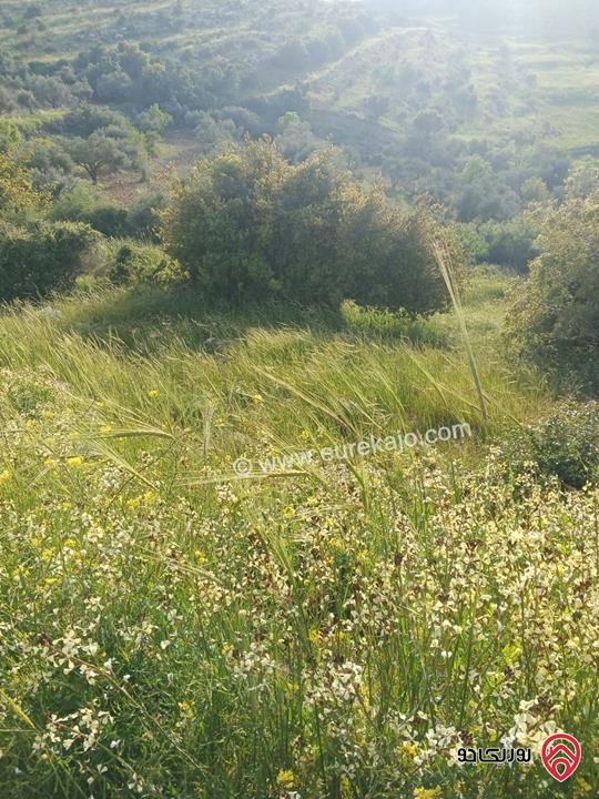 قطعة ارض سكنية مساحة 1 دونم و 145م للبيع في السلط