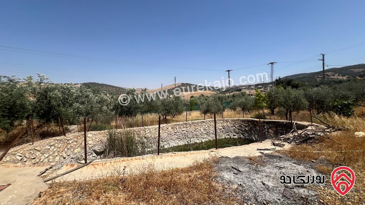 مزرعة مساحة 9 دونم و 708م للبيع في البلقاء - بمنطقة تل الرمان بالقرب من مطعم خيل و ليل 