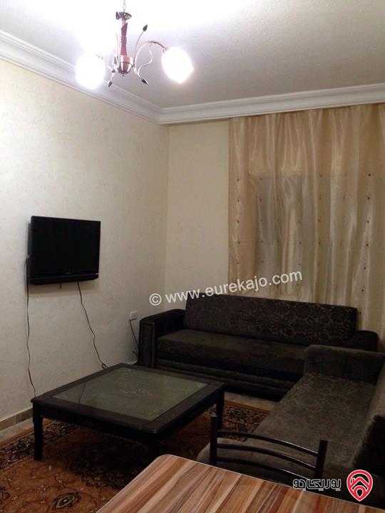 شقة مفروشة 45م مكونة من غرفة وصالة للايجار في عمان - الجبيهة من المالك