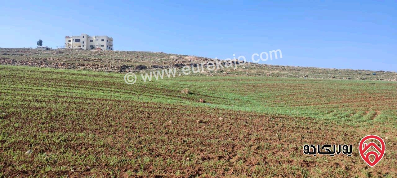 قطعة أرض مساحة 6 دونم و 280م للبيع في مادبا بجانب الجامعة الامريكية