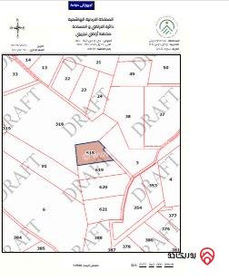 أرض مساحة 3 دونم و 400م للبيع في جرش - سوف