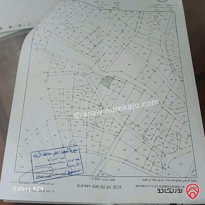 قطعة ارض مساحة 1 دونم و 250م للبيع في منطقة الزرقاء - جريبا مسورة  ومزروعة على 3 شوارع 