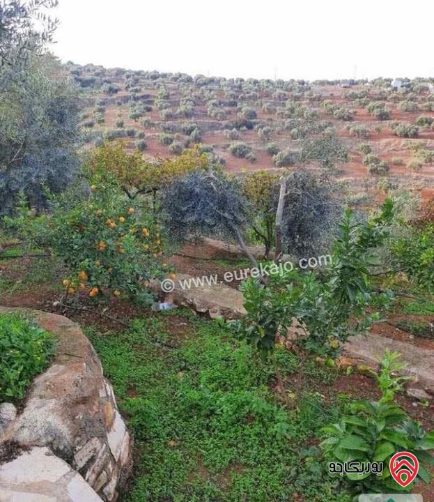 مزرعة زيتون مساحة الأرض 8 دونم و 588م و البناء مساحة 100م للبيع في السلط