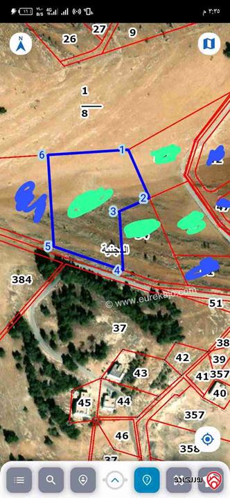 قطعة أرض مساحة 9 دونم و 518م للبيع في المفرق الدجنية مصبغ الغزل 
