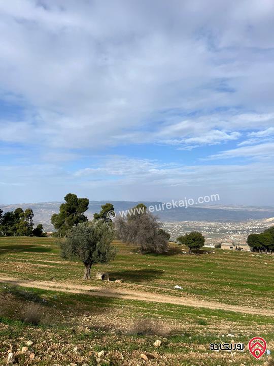 قطعة أرض مساحة 1 دونم و 890م للبيع في السلط - الغروس