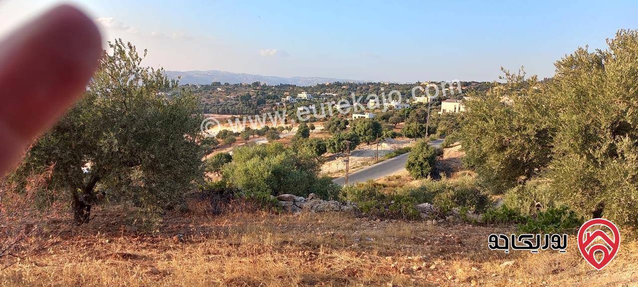 قطعة ارض مفروزة 517م للبيع في عمان - بدر الجديدة