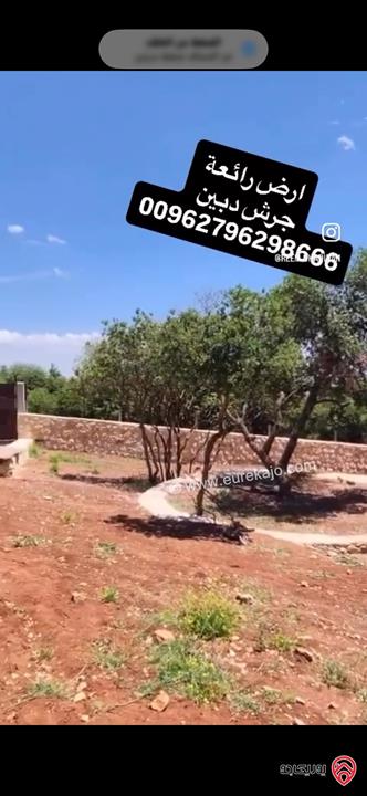 قطعة ارض مميزة مسساحة 2 دونم للبيع اراضي جرش دبين 