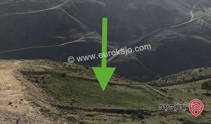 قطعة ارض تصلح لبناء شاليه مساحة 1 دونم و 483م للبيع في جرش