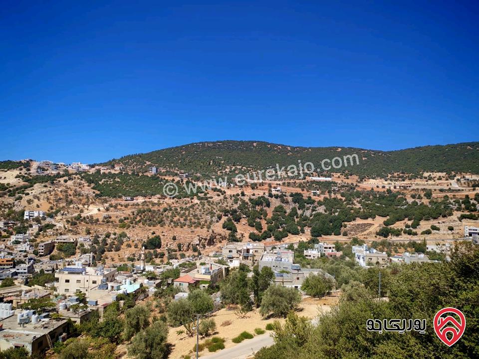 قطعة أرض مساحة 2 دونم و 272م للبيع من أراضي عجلون عين جنا