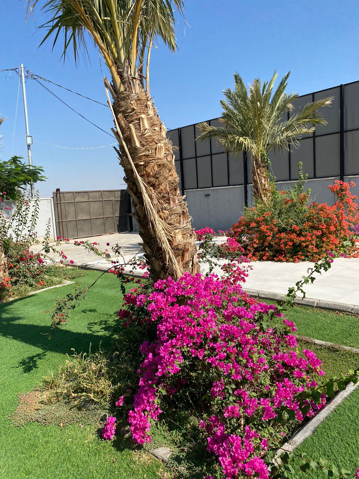 مزرعة - شاليه Istanbul Farm للايجار اليومي في البحر الميت 