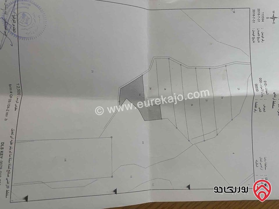 ارض مساحة 6 دونمات و744 متر للبيع في مادبا - ذيبان