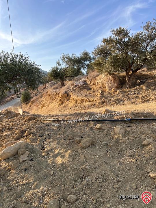 مزرعة مساحة الأرض 6 دونم و 500م للبيع في جرش منطقة جمله قريبة من محمية دبين اطلاله جميلة جداً وسعر حرق وربنا يبارك لصاحب النصيب