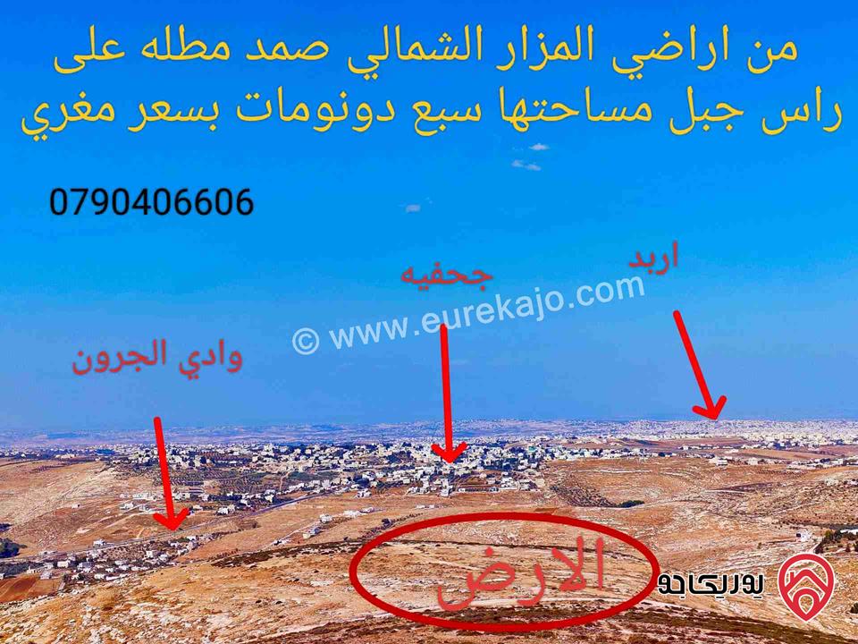 قطعة ارض مساحة 7 دونم للبيع على رأس جبل مطلة على اربد - جحفيه المزار حبكة