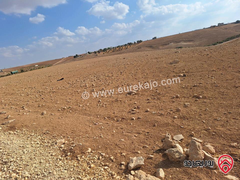 قطعة ارض زراعية مساحة 12 دونم و 690م للبيع في مادبا - منطقة فلحة أراضي ذيبان