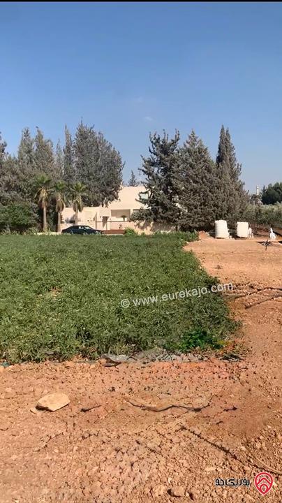 قطعة أرض مساحة 2 دونم للبيع في عمان - ام العمد طريق المطار افراز أ سكن أخضر منطقة فلل و شاليهات