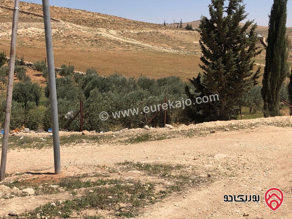 ارض مساحة 4 دونم للبيع في المفرق - بلعما - عين والمعمرية 