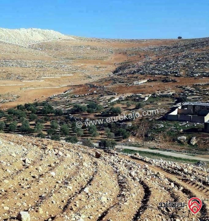 قطعة أرض مساحة 3 دونم و 500م للبيع في المفرق 