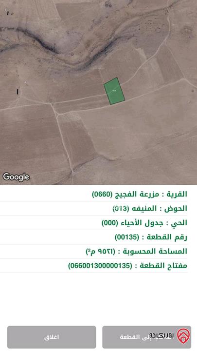 قطع اراضي زراعية بمساحه ١٠ دونم تقريبا للبيع في معان - من أراضي الشوبك مزرعة الفجيج و بئر بن جازي