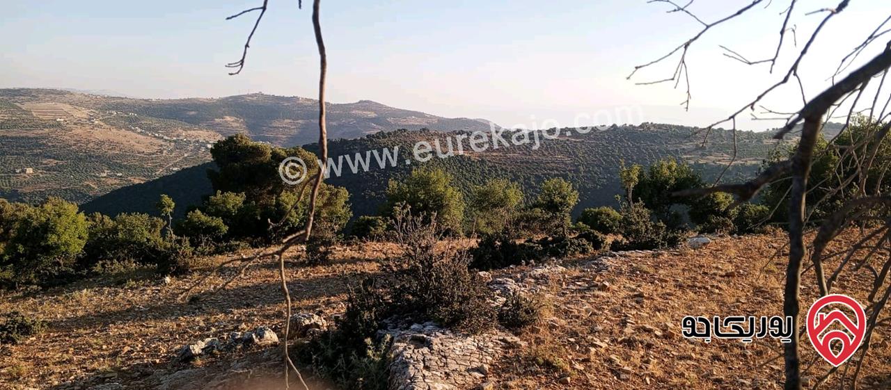 أرض مميزة مساحة 2 دونم للبيع في محافظة عجلون منطقة عنجرة / خربة الحنيش الأثرية 