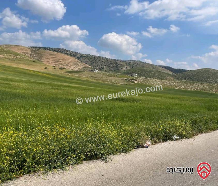 أرض مساحة 500م للبيع في اربد