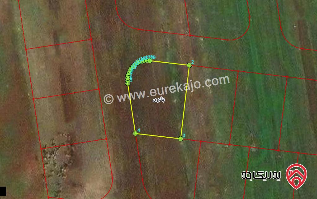 قطعة ارض مساحة 653م للبيع في اربد - بشرى شرق السنبلة 