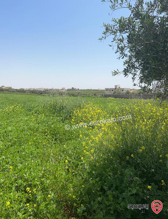 أرض مساحة 4 دونم و 276م للبيع في مادبا - الفيصلية