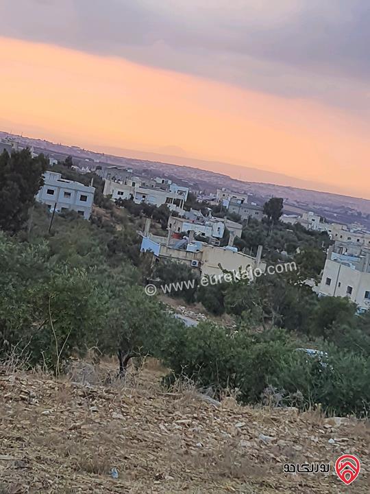 أرض مساحة 4 دونم للبيع في اربد - زحر