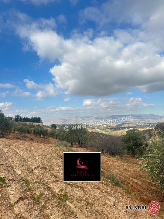 قطعة ارض مساحة 3 دونم و 400م مزروعة زيتون للبيع في السلط الديرة قرب زي 