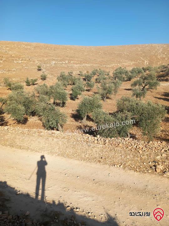 قطعة ارض مساحة 19 دونم و 195م للبيع من أراضي جرش قفقفا