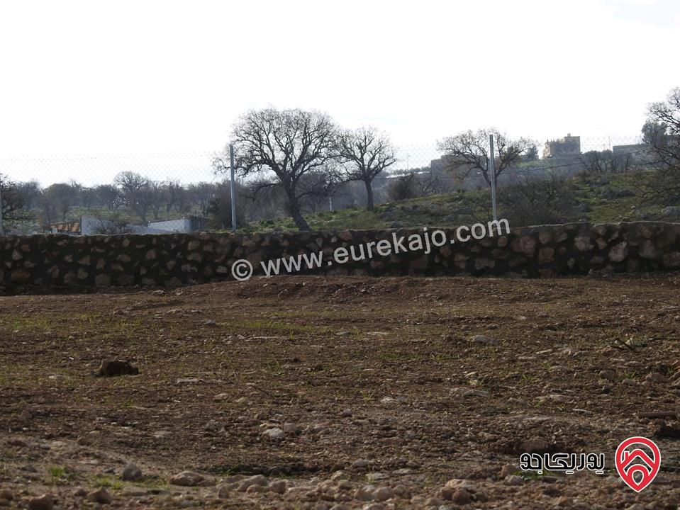 أرض مساحة 5 دونم للبيع من اراضي جنوب عمان - حواره 
