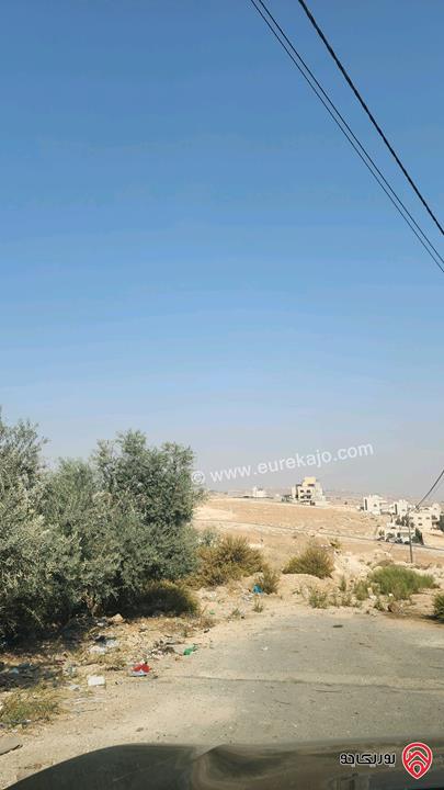 أرض مساحة 500م للبيع في عمان - شفا بدران المقرن 