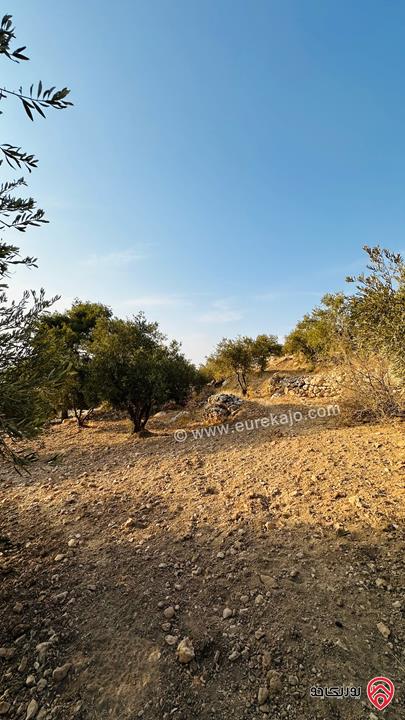 قطعة ارض مساحة 5 دونم و 856م للبيع في منطقة ماحص البلقاء منطقة قصور وفلل بجانب قصر الامير حسين ميرزا اطلالة غربية من المالك مباشرة 