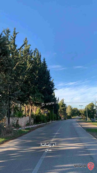 أراضٍ مشتركة بمساحات متنوعة من 5 دونمات لغاية 50 دونم للبيع من أراضي جنوب عمان - ام رمانه منطقة حيوية وسريعة التطوير