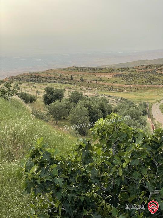 قطعة أرض مميزة مساحة 5 دونم للبيع في عمان - ناعور المشقر