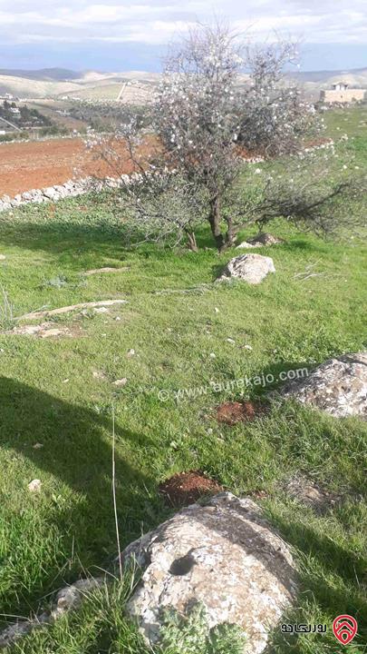 مزرعة على شارعين مساحة 3700م للبيع في جرش - عنيبة