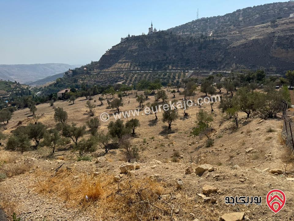 ارض مساحة 4 دونم و 227م للبيع في عمان - البحاث مقابل منتجع البحاث