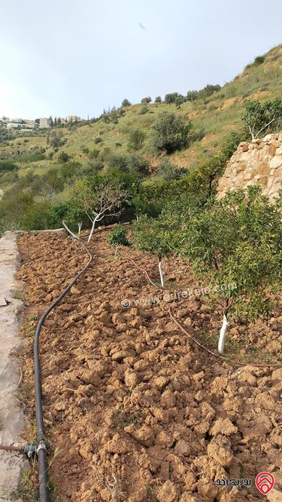 قطعة أرض مع شاليه مساحة 5 دونم للبيع في جرش 
