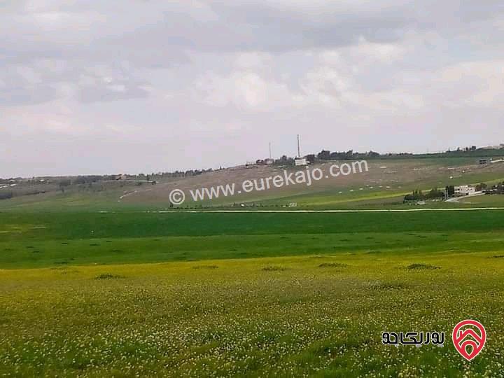 قطعة أرض مساحة 5300م زراعية مميزة واصل الخدمات للبيع في مادبا - ماعين غرابيات ام راسين 