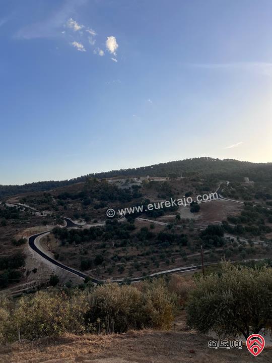 مزرعة مساحة الأرض 6 دونم و 500م للبيع في جرش منطقة جمله قريبة من محمية دبين اطلاله جميلة جداً وسعر حرق وربنا يبارك لصاحب النصيب